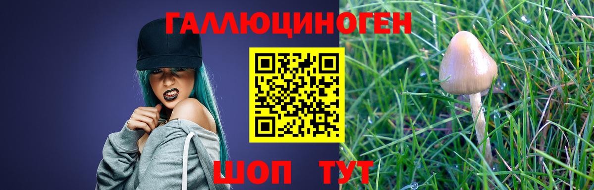 Галлюциногенные грибы MAGIC MUSHROOMS Прокопьевск